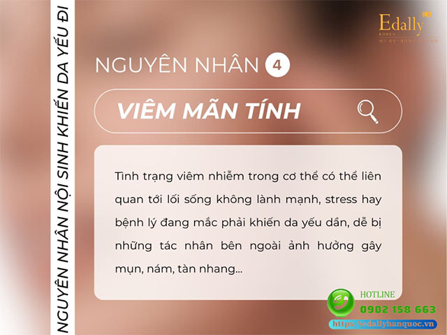 Tình trạng viêm mạn tính là nguyên nhân nội sinh khiến da bị suy yếu