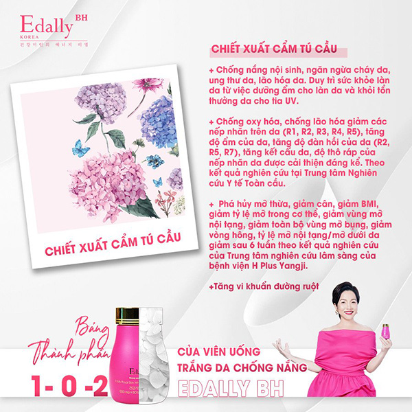 Tác dụng của chiết xuất Cẩm tú cầu trong Viên uống trắng da chống nắng Edally BH Hàn Quốc nhập khẩu chính hãng