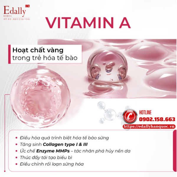Vitamin A trong skincare - Chuẩn mực vàng của trẻ hóa tế bào da
