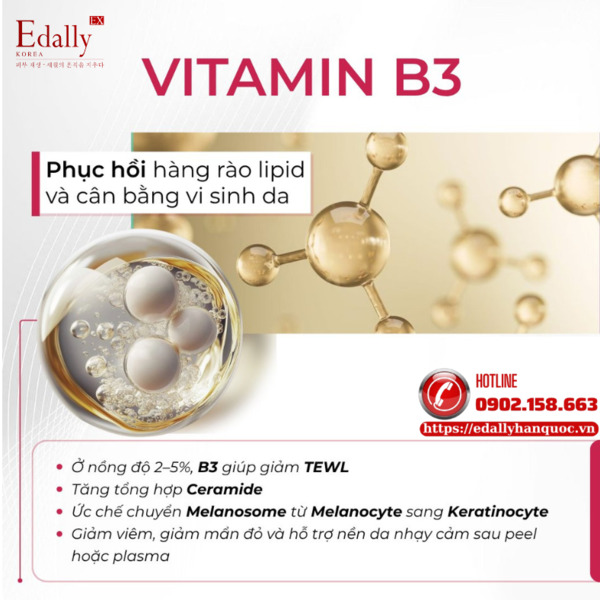 Vitamin B3 (Niacinamide) trong skincare - Phục hồi hàng rào lipid và cân bằng vi sinh da