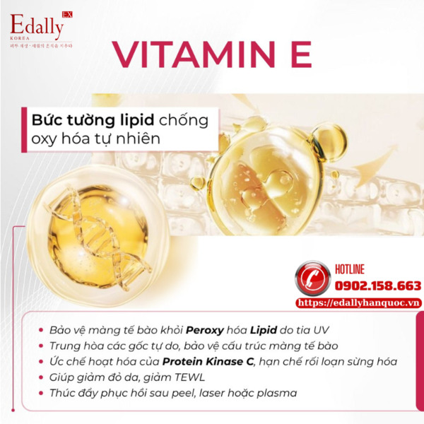 Vitamin E trong skincare - Bức tường lipid chống oxy hóa tự nhiên