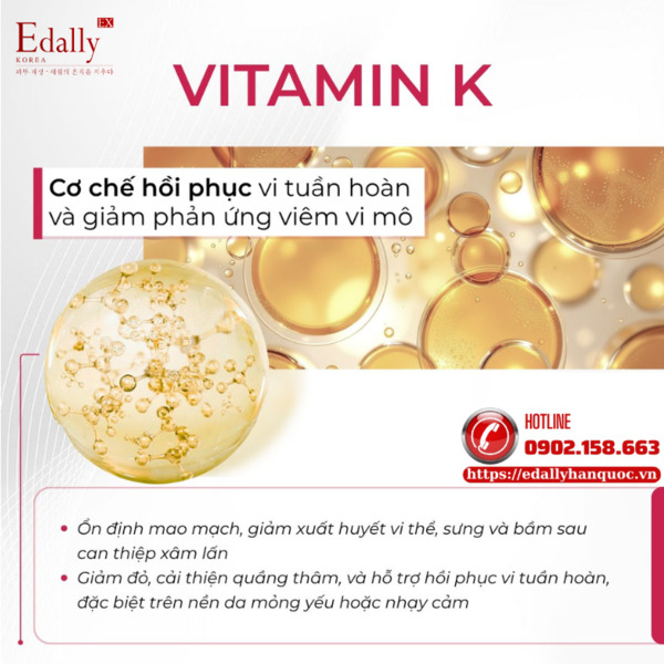 Vitamin K trong skincare - Cơ chế hồi phục vi tuần hoàn và giảm phản ứng viêm vi mô