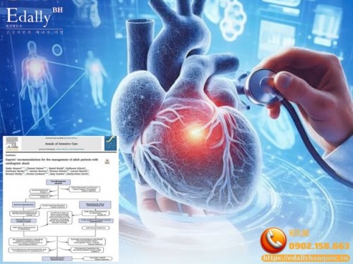 Cập Nhật Mới Nhất Xử Trí Sốc Tim Ở Người Lớn Của Các Hội Hồi Sức - Tim Mạch - Gây Mê Hồi Sức - Phẫu Thuật Tim Của Pháp