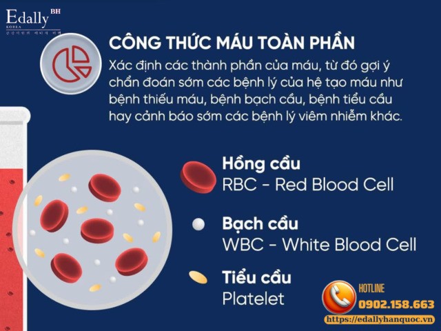 Công thức máu toàn phần coa ý nghĩa gì?