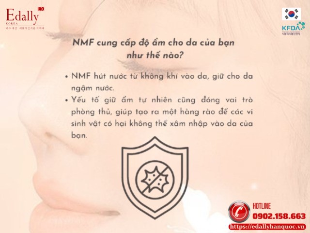 Yếu tố giữ ẩm tự nhiên NMF cung cấp độ ẩm cho da như thế nào?