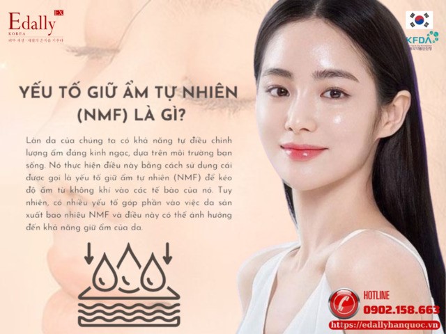 Yếu tố giữ ẩm tự nhiên NMF