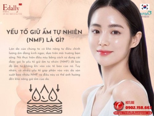 Yếu Tố Giữ Ẩm Tự Nhiên NMF Là Gì?