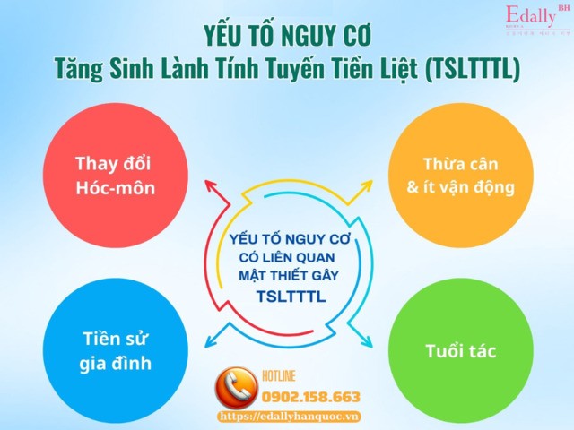 Yếu tố nguy cơ tăng sinh lành tính tuyến tiền liệt (phì đại tuyến tiền liệt)