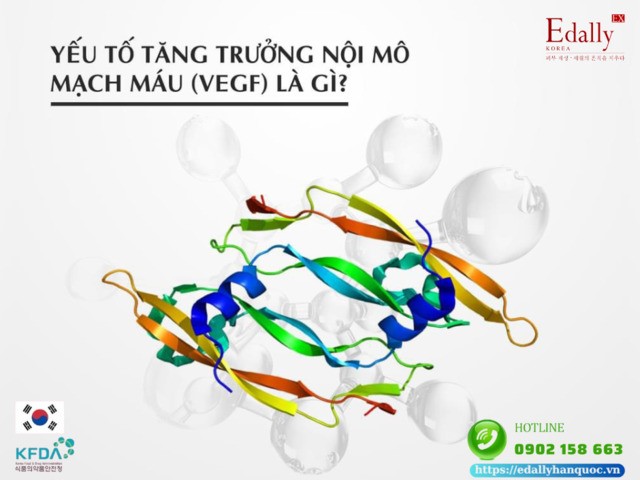 Sự thật về vai trò của yếu tố tăng trưởng nội mô mạch máu (VEGF) đối với làn da mụn, nám