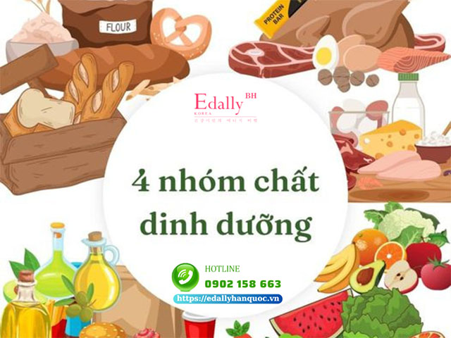 Bữa ăn healthy cần cân đối 4 nhóm dưỡng chất thiết yếu