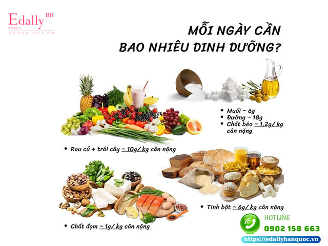 Ăn healthy mỗi ngày cần bao nhiêu dinh dưỡng?